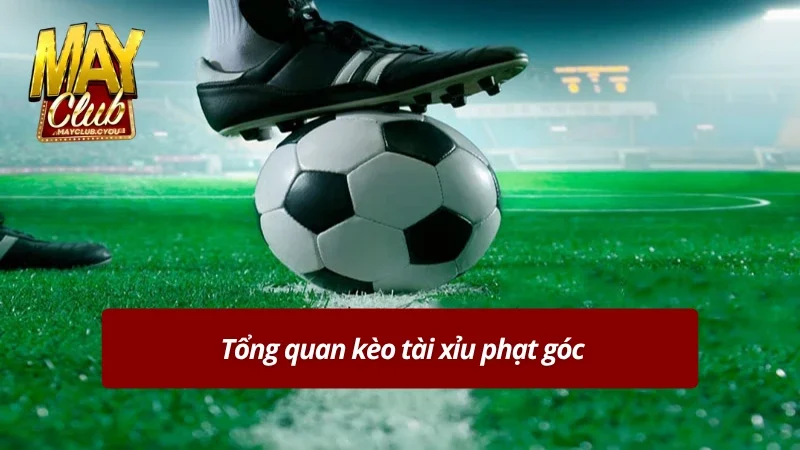 Tìm hiểu kèo tài xỉu phạt góc 
