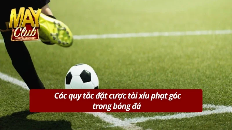 Một số nguyên tắc cần nắm khi lựa chọn kèo tài xỉu phạt góc 