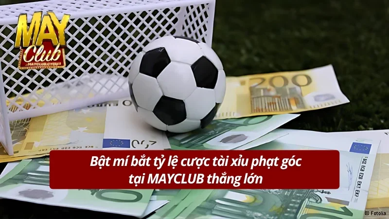 Mẹo soi cầu kèo tài xỉu phạt góc bất bại trong bóng đá 